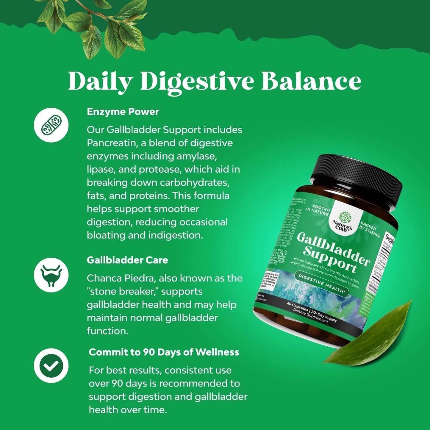Gallbladder Support Digestive Enzymes with Purified Bile Salts & Pancreatin, 90 Caps