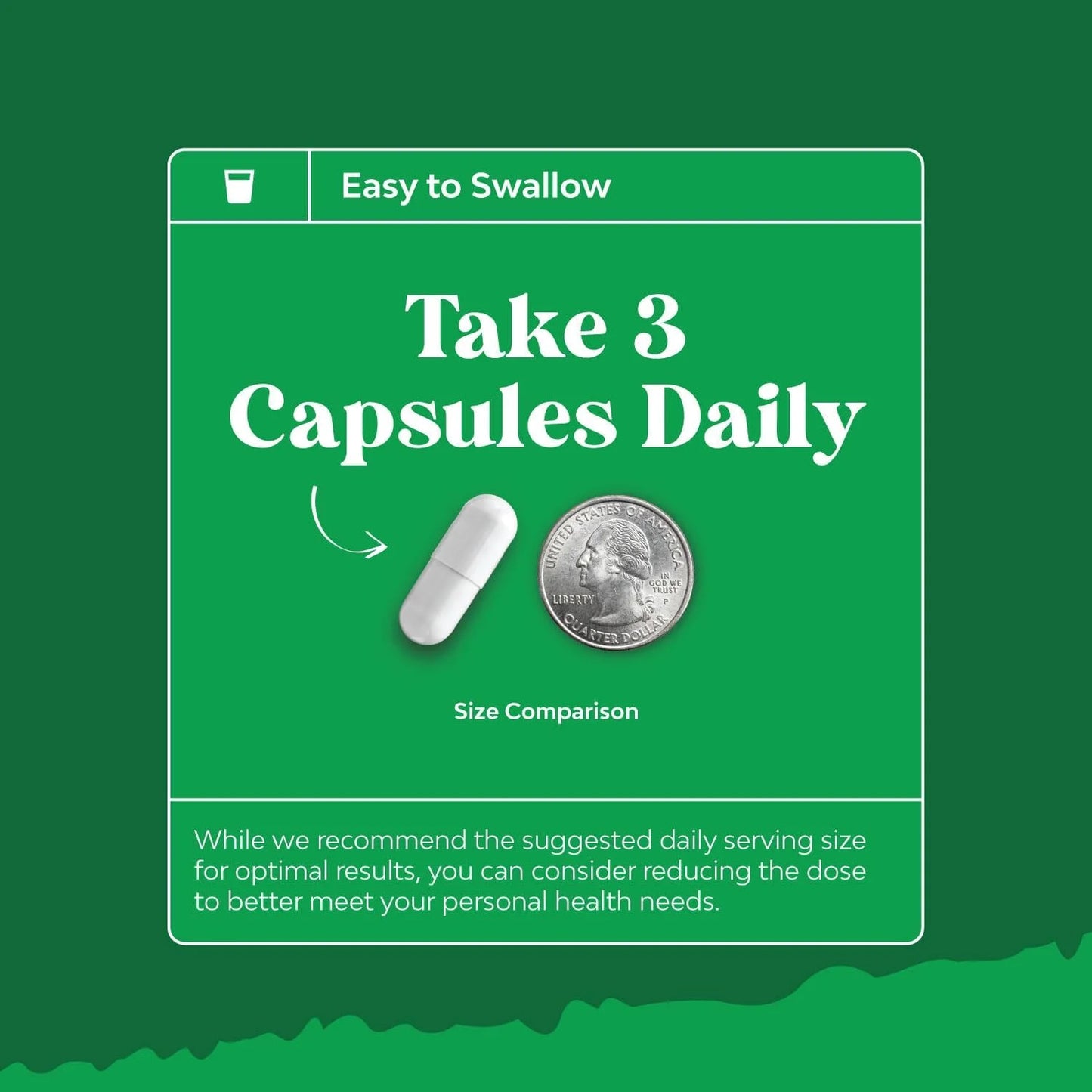 Gallbladder Support Digestive Enzymes with Purified Bile Salts & Pancreatin, 90 Caps