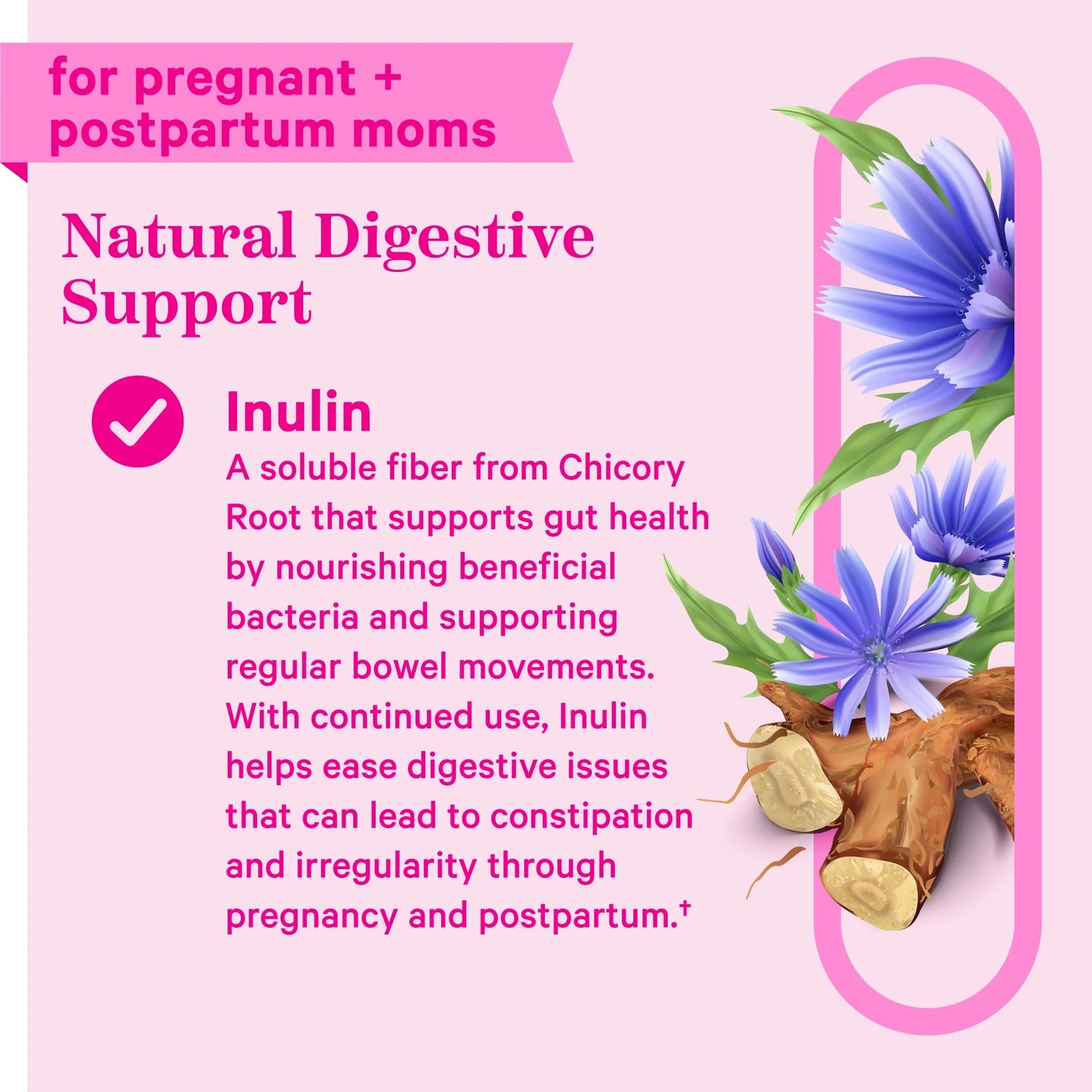 Fiber Gummies: Prebiotic Inulin for Digestive Support, 60 Gummies, Peach Berry Flavor