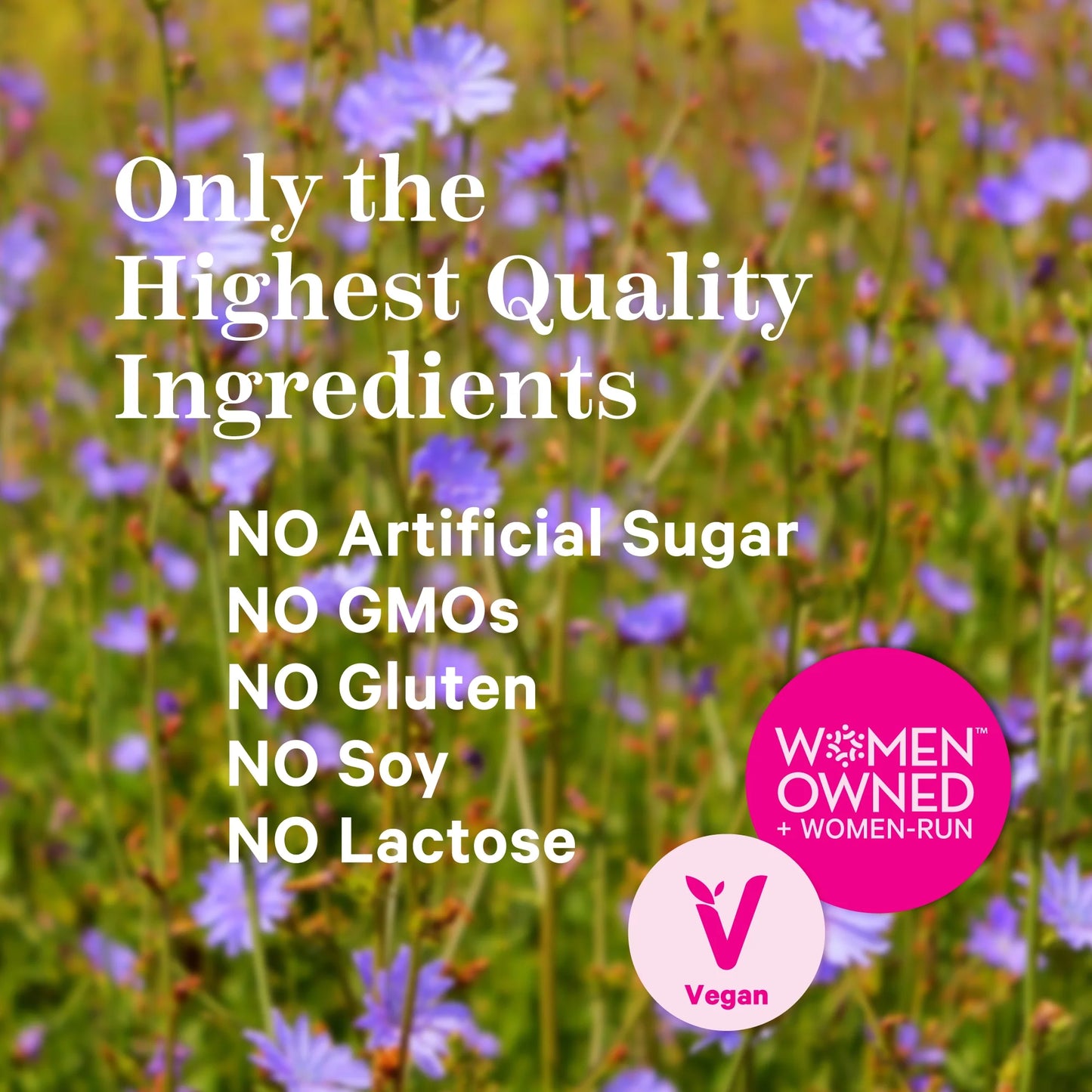 Fiber Gummies: Prebiotic Inulin for Digestive Support, 60 Gummies, Peach Berry Flavor