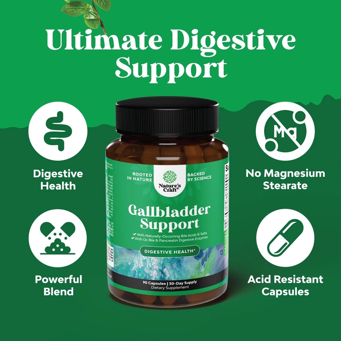 Gallbladder Support Digestive Enzymes with Purified Bile Salts & Pancreatin, 90 Caps